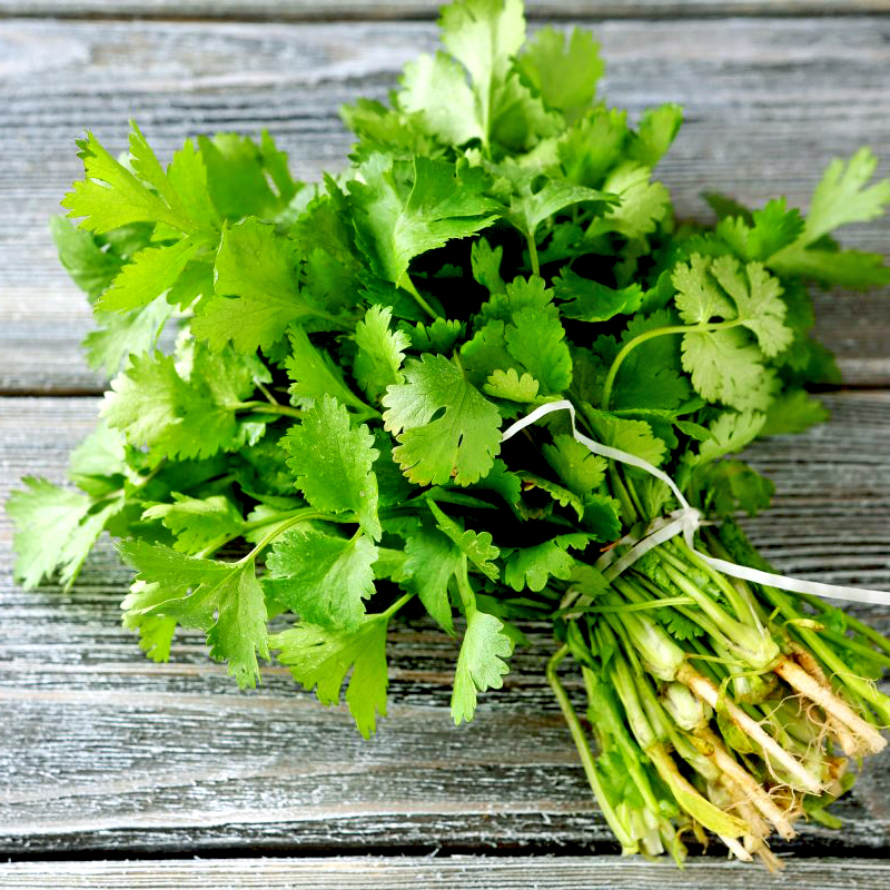 🌿Hạt Giống Rau Mùi Ngò Rí 🌿 (Dễ Trồng, Nảy mầm tốt, năng suất cao) - 20gr/gói