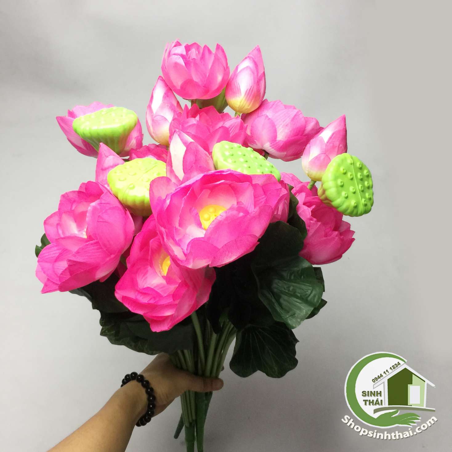 [HCM]Hoa sen giả - bụi sen lớn