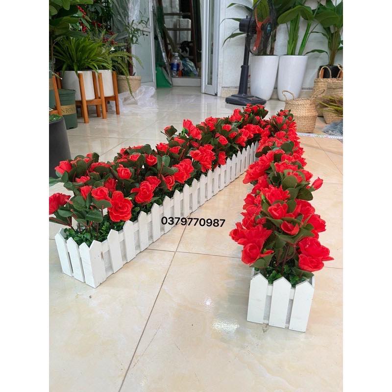 Chậu hàng rào hoa trang trí