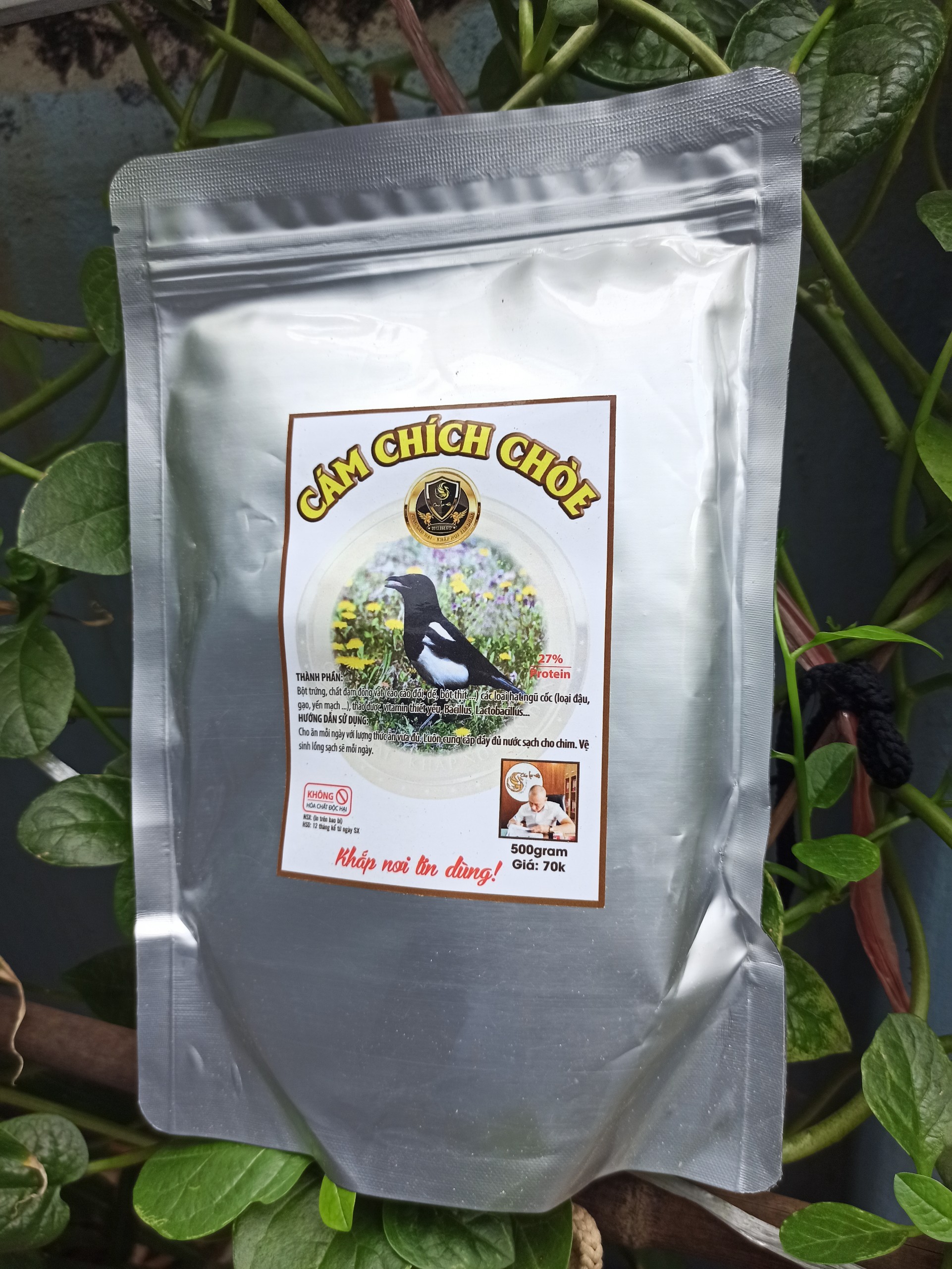 CÁM CHÍCH CHOÈ  MỘC LÃO ĐẠI GOI 500G
