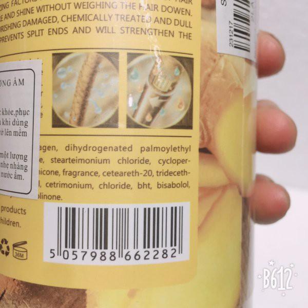 Ginger Shampoo and Conditioner