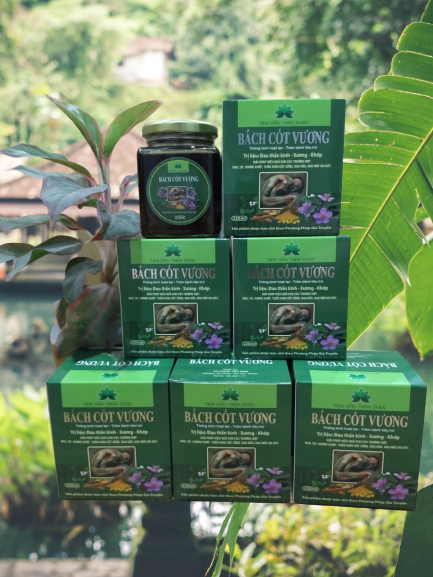 Combo Tinh dầu trị liệu Bách Cốt vương (Mua 1 tặng 1 gói mẫu ngâm chân Bách Cốt vương)