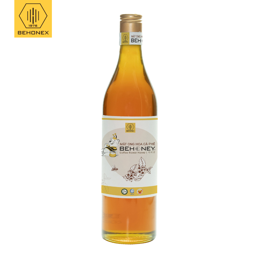 [MẬT ONG NGUYÊN CHẤT] MẬT HOA CÀ PHÊ BEAR 600ML
