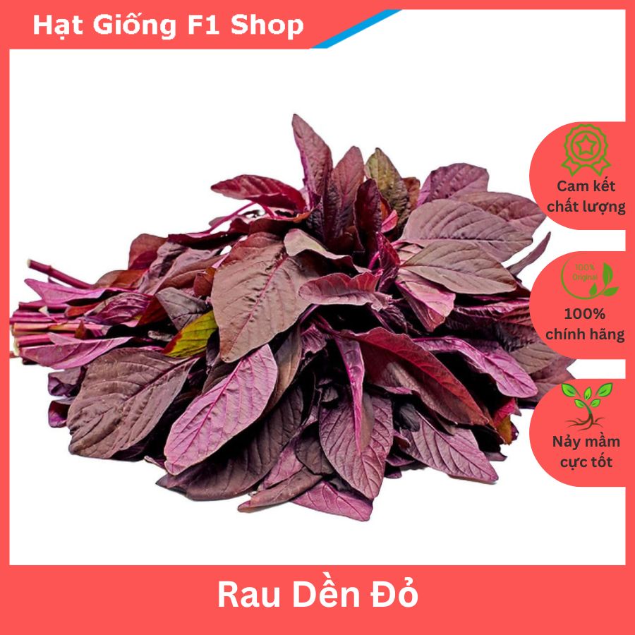 Hạt giống rau dền đỏ ngon mềm