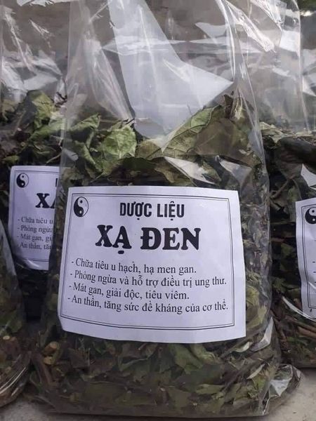 COMBO 5 CÂY GIỐNG XẠ ĐEN HÒA BÌNH - CÂY DƯỢC LIỆU