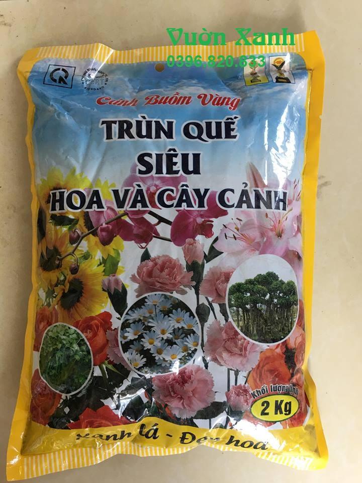 Trùn quế siêu hoa và cây cảnh 2kg dùng cho mọi loại cây, cải tạo đất tốt