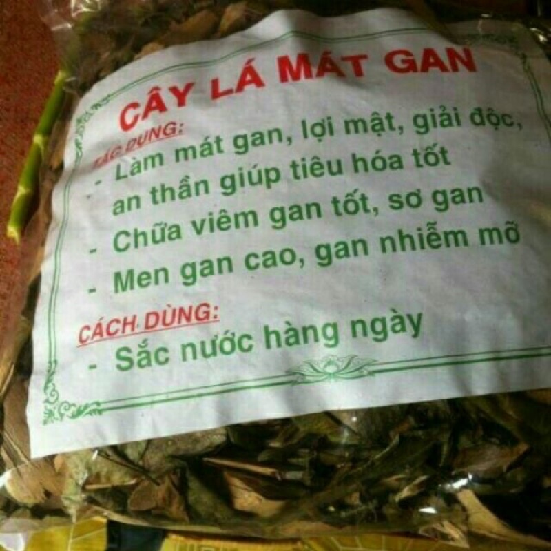 500Gr Cây Lá Mát Gan chuẩn xịn