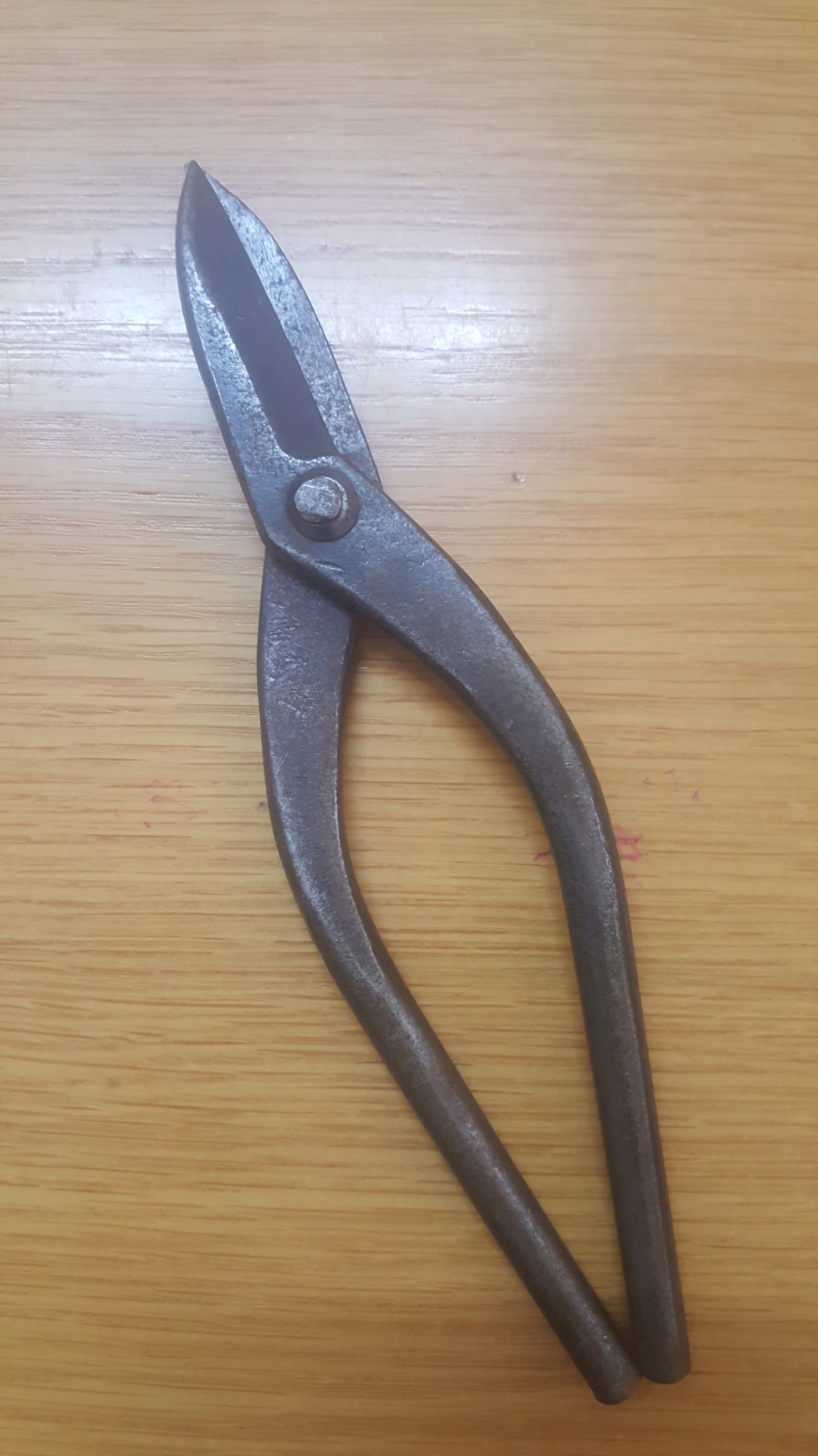 Metal Cutting Scissor Straight Edge