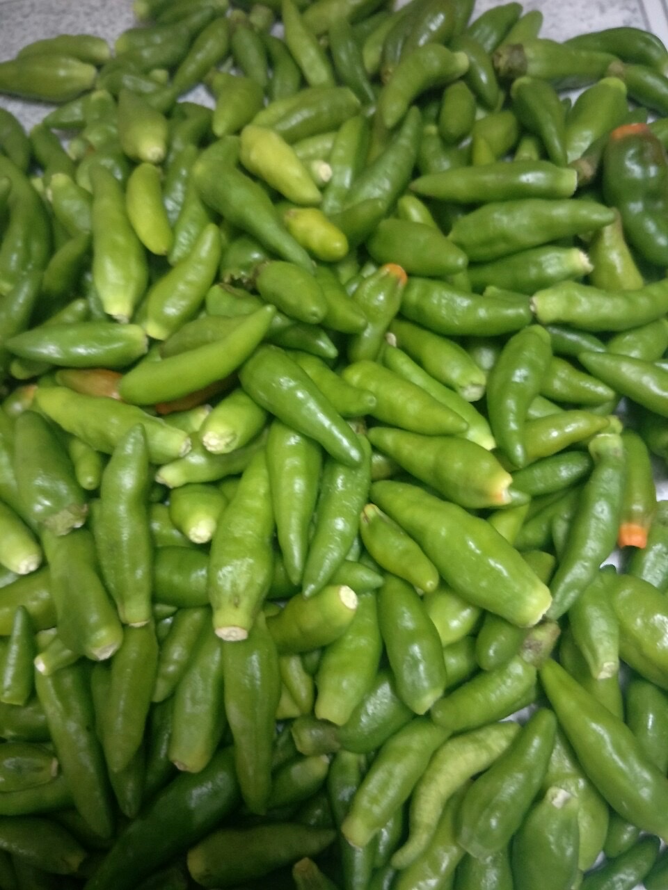 CHẢ LỤA GÂN ỚT XIÊM ( 500G )