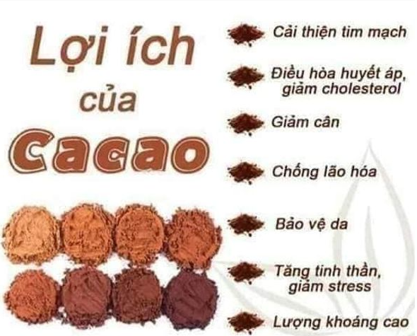 Bột Ca Cao nguyên chất, hộp 500gram