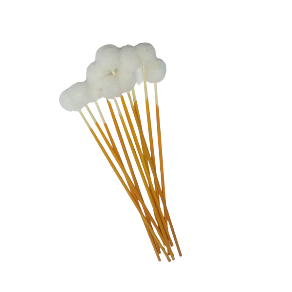 Combo 5 cây bông ráy tai lông vịt-Dụng cụ ráy tai