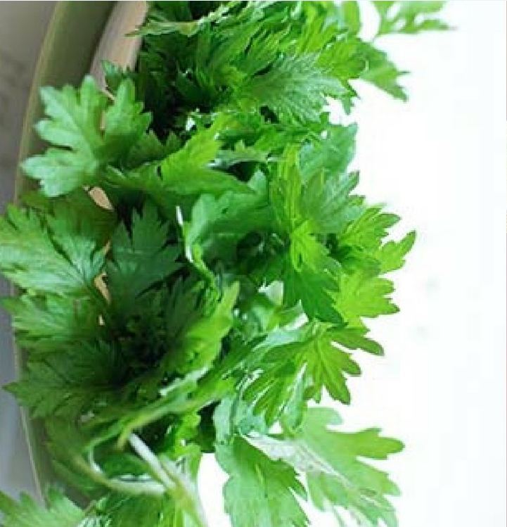Hạt giống cây ngải cứu  - 1 gói 50 hạt - VTNT