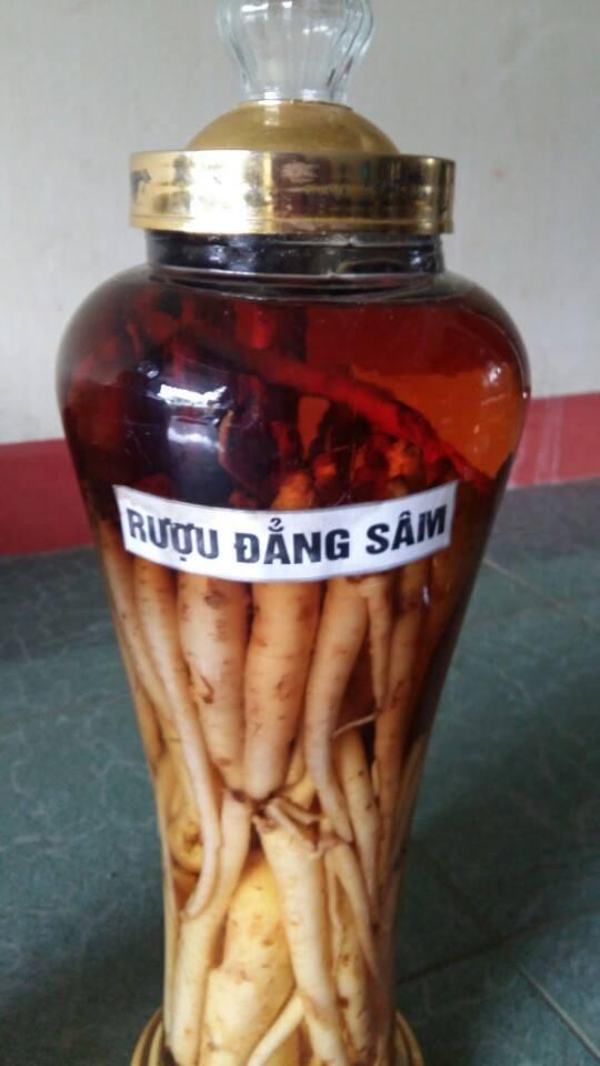 ĐẲNG SÂM ( SÂM DÂY NGỌC LINH ) KHÔ - 500G