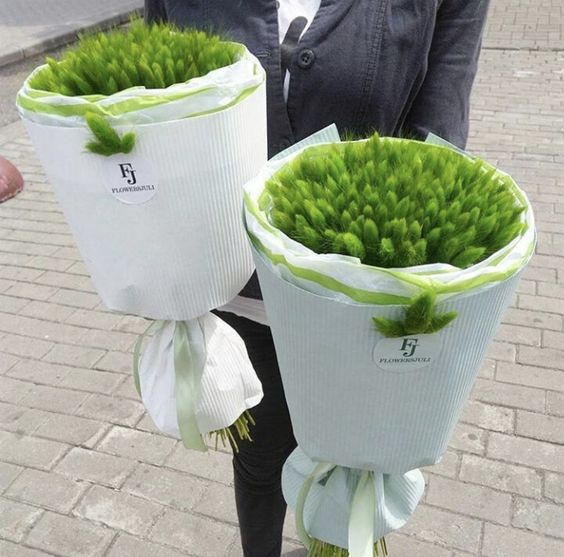 ( 10 bông ) hoa đuôi thỏ, hoa khô thủ đức trang trí