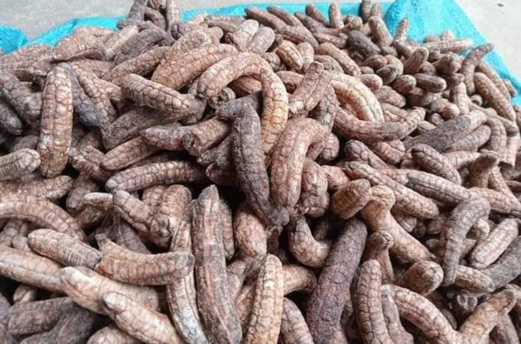 Chuối hột rừng hữu cơ thơm ngon