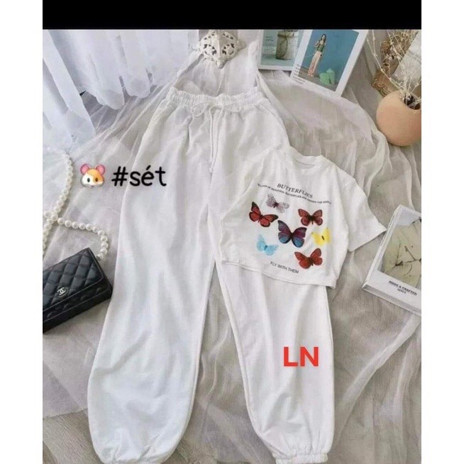 Sét croptop bướm vàng +quần bom PM60