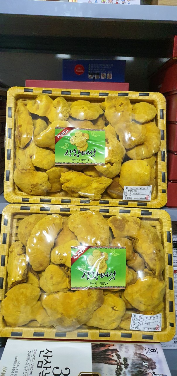 [Chuẩn Chính Hãng 100%] Nấm Thượng Hoàng Hàn Quốc Khay 500g