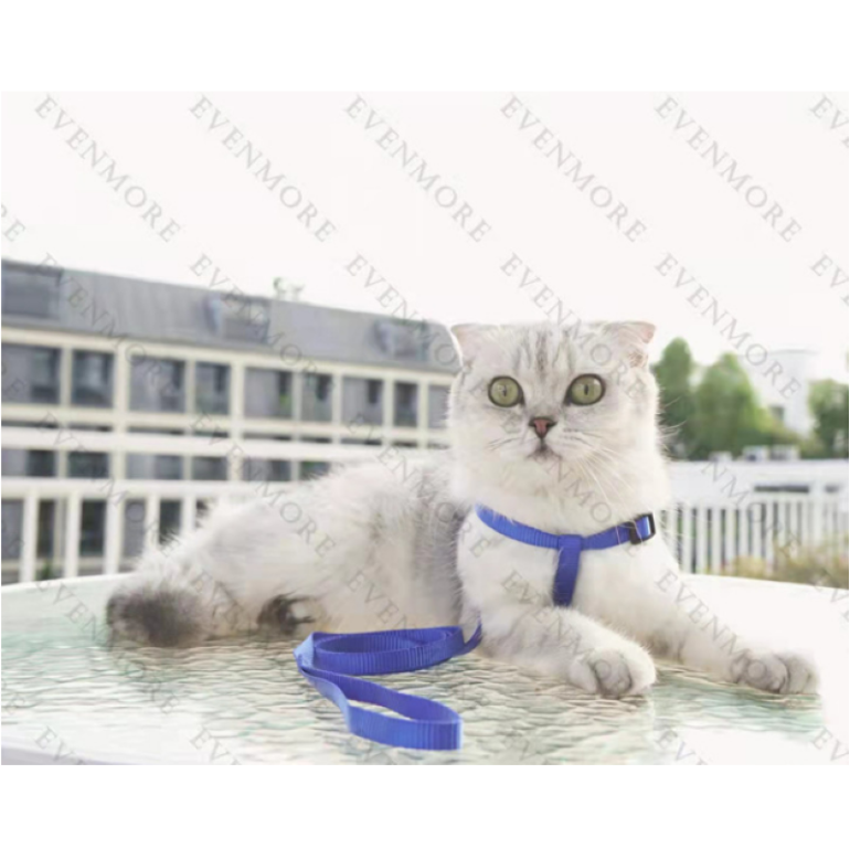 Bộ dây dắt bản dẹp kèm yếm và vòng cổ cho Chó Mèo nhỏ dưới 4kg - Love Pets Shop