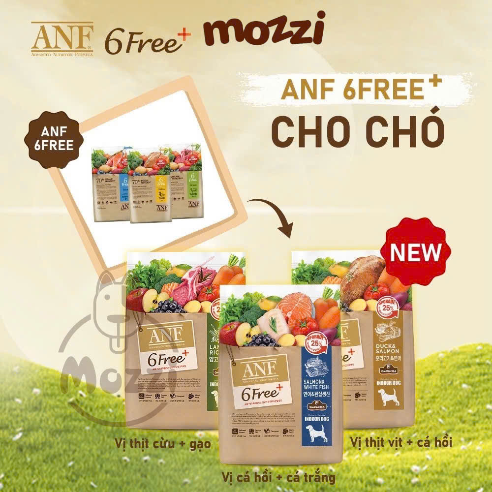 [400g - 1.6kg - 5.6kg] Thức ăn hạt hữu cơ ANF Dog 6Free+ cho chó