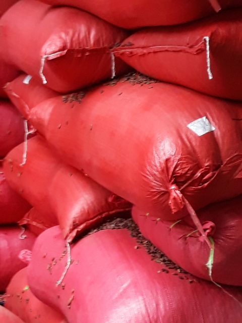 Hạt dưa Tân Bảo Ký không phẩm màu 1kg