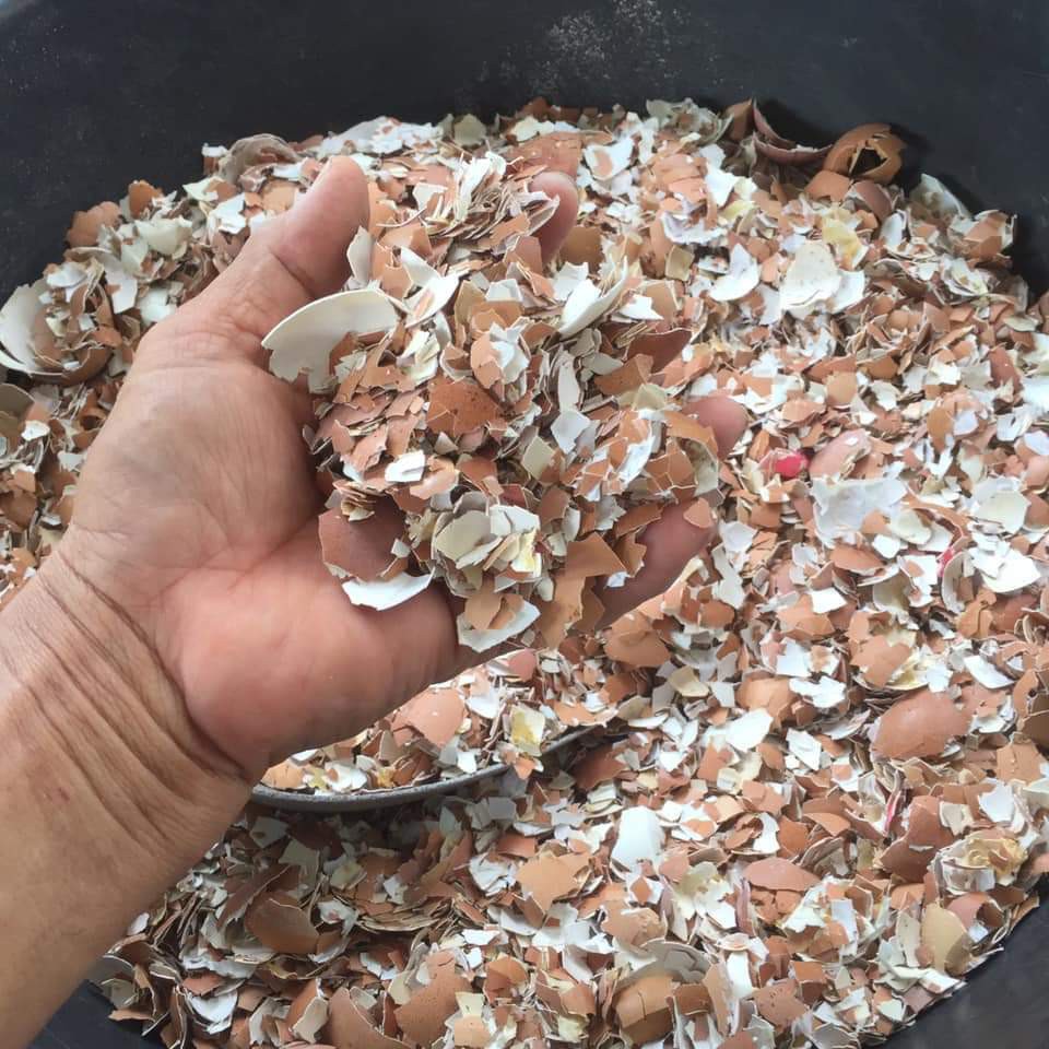 500g Vỏ Trứng Oganic gà đã qua xử lý bón cây bổ sung canxi chống rụng hoa, nứt quả