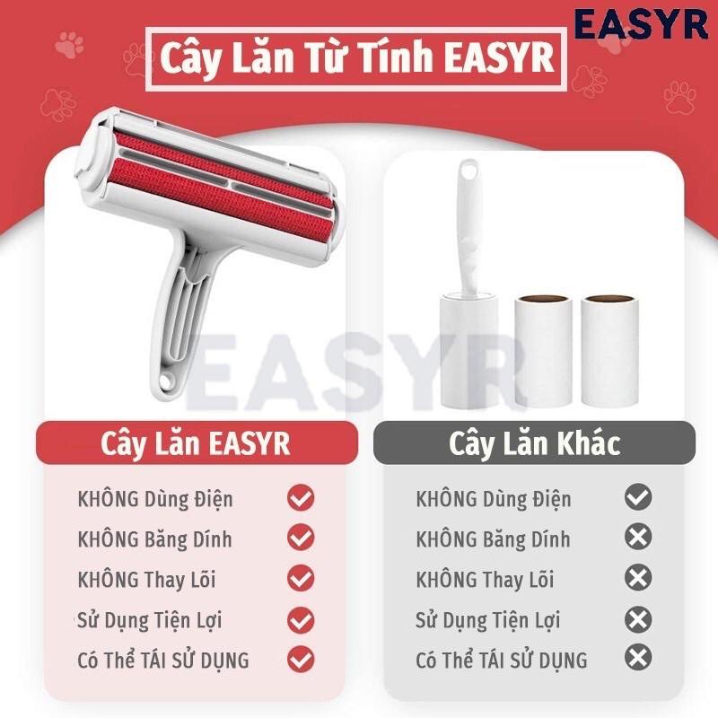 Cây Lăn Lông Tĩnh Điện
