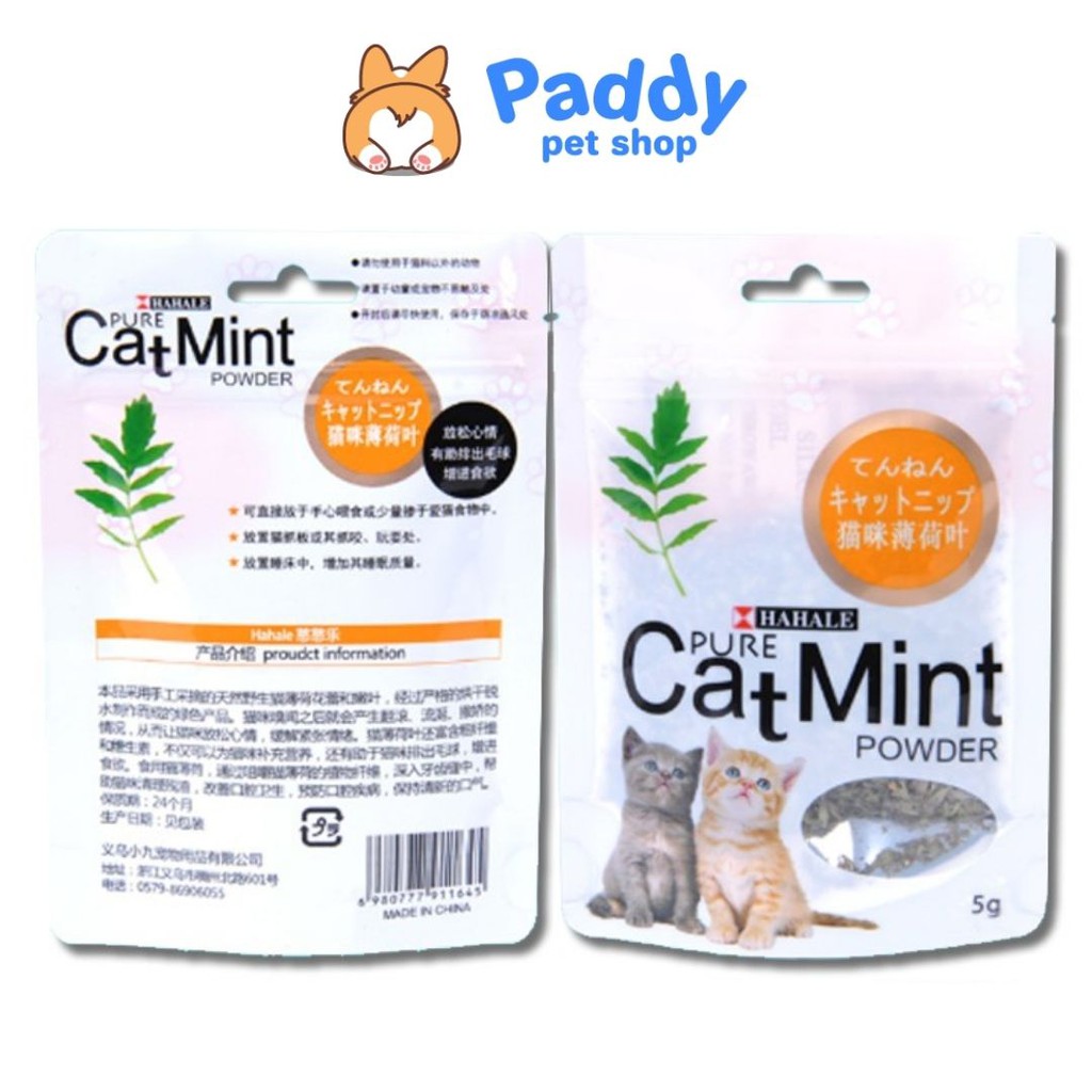 Cỏ Mèo Bạc Hà Thư Giãn Cho Mèo Catmint/Catnip