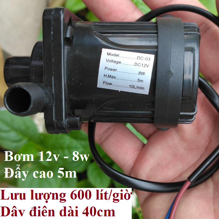 Máy bơm Không chổi than các loại