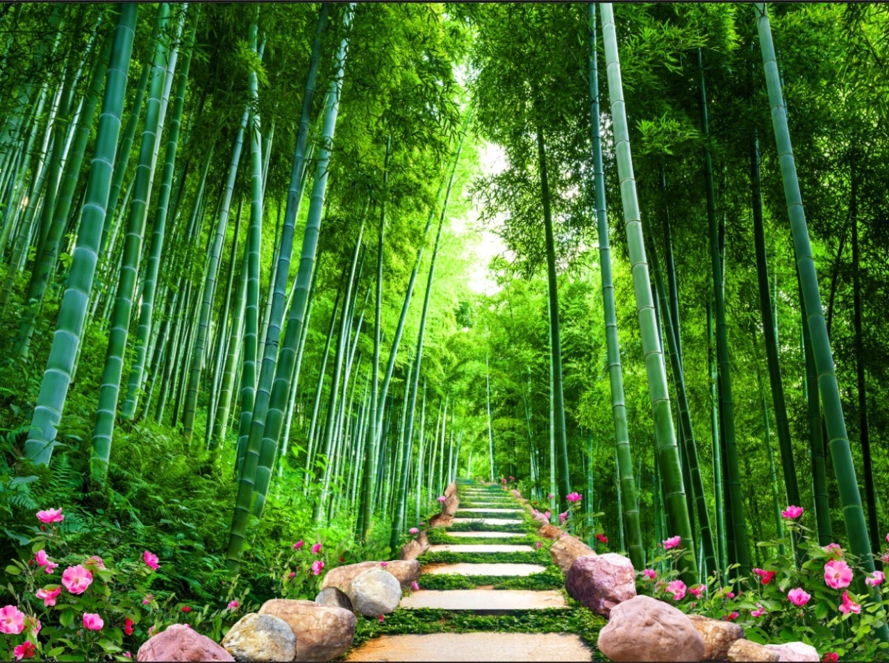 Tuyển tập hình nền rừng tre và trúc xanh mát tuyệt đẹp   thptlamnghiepeduvn