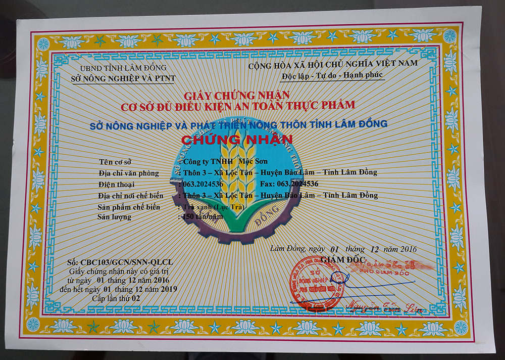 Combo 5KG Lục Trà Thượng Hạng Mộc Sơn (gồm 10 túi 500g Lục Trà)
