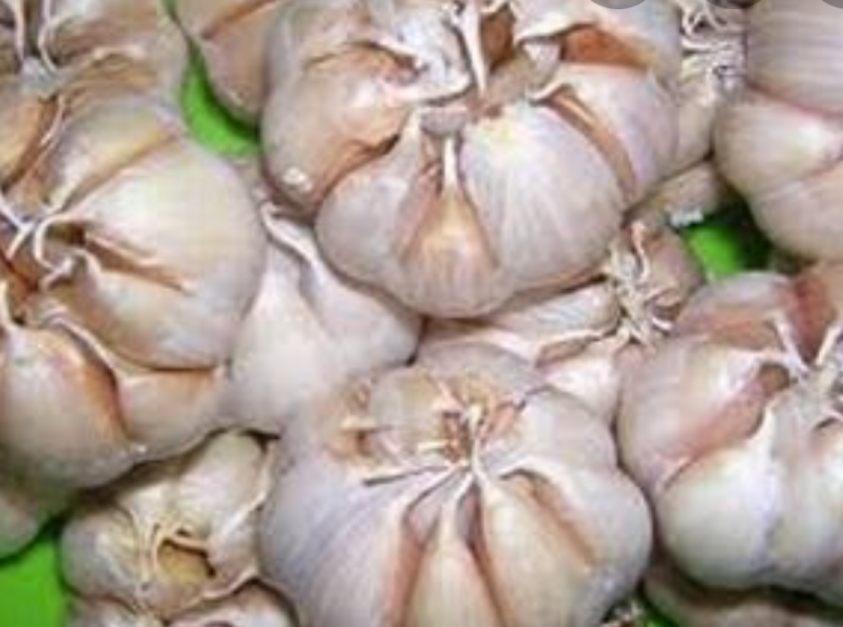 500gr tỏi tép lớn khô thơm ngon Thiên Thảo Organic