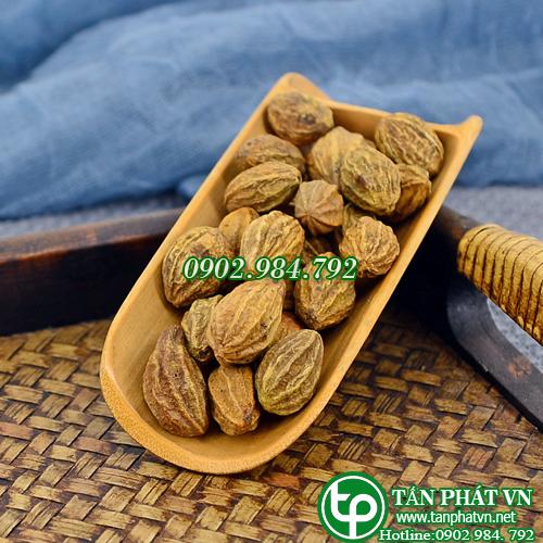 Quả kha tử khô 500g Tốt cho sức khỏe cổ họng của bạn - Hàng loại 1 chất lượng cao - Thảo Dược Tấn Phát