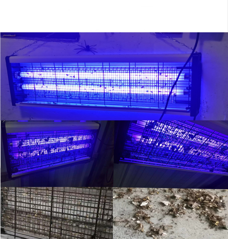 Đèn bắt muỗi Kill Pest