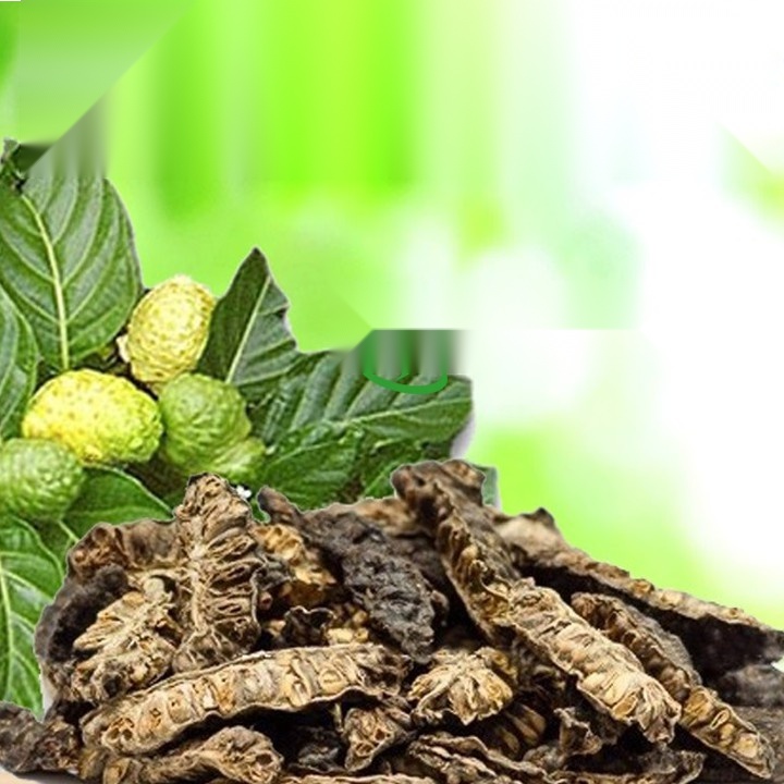1kg quả nhàu rừng - Nhàu chín sấy khô thơm ngon - Hỗ trợ nhức mỏi, đau nhức và Phòng ngừa K