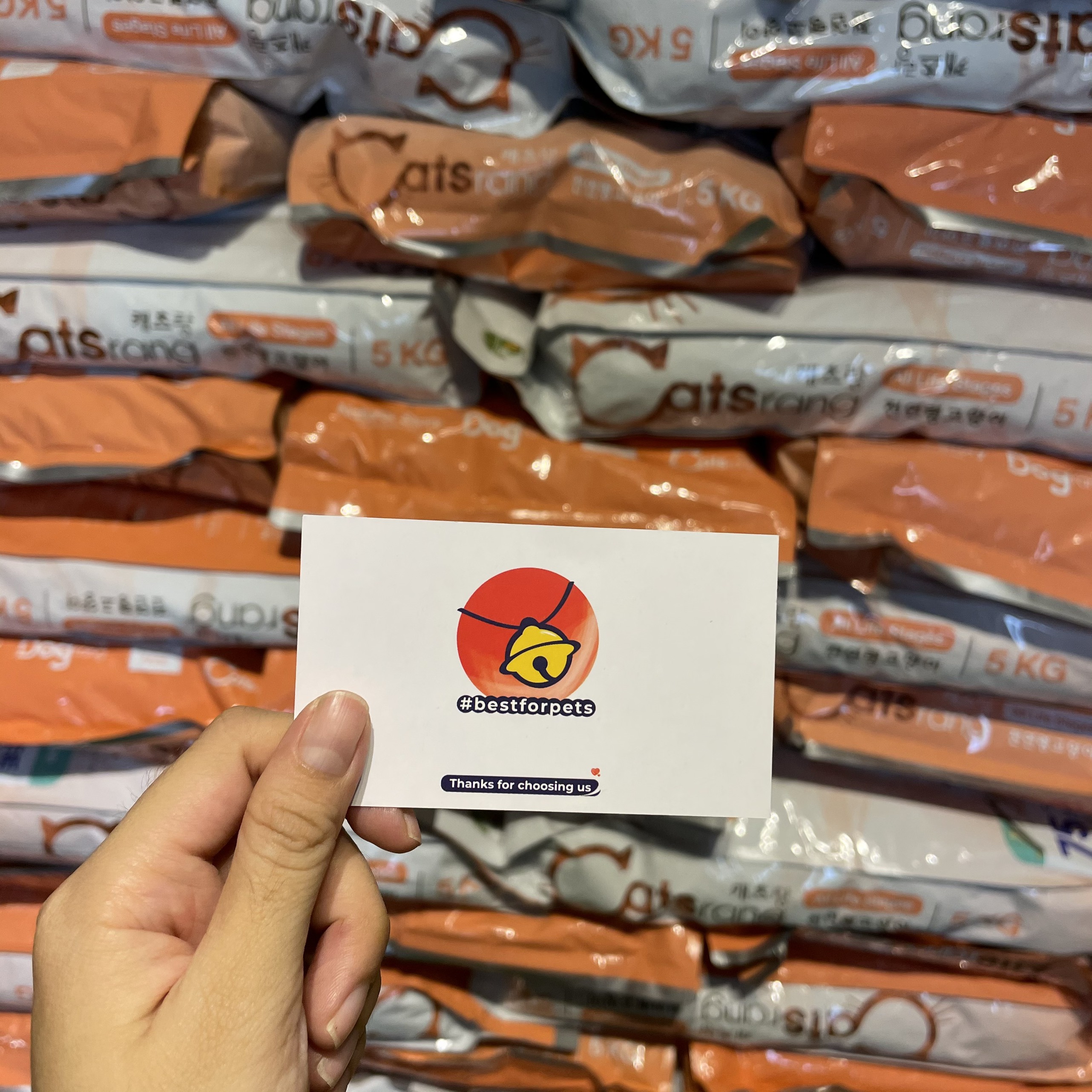 [Hoàn tiền 10%] Hạt Catsrang cho mèo mọi lứa tuổi - Túi 2kg chính hãng