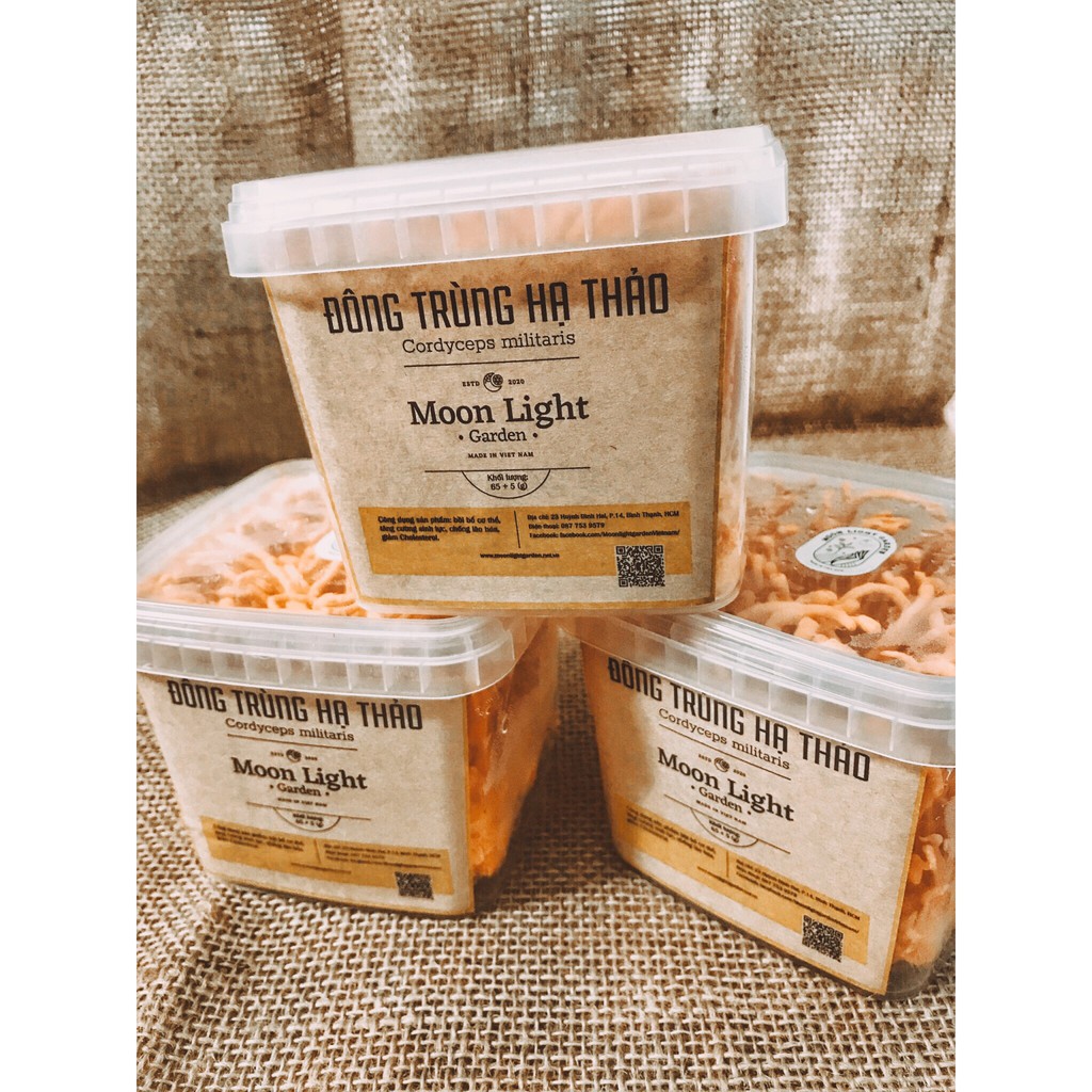 Nấm đông trùng hạ thảo tươi "Cordyceps"