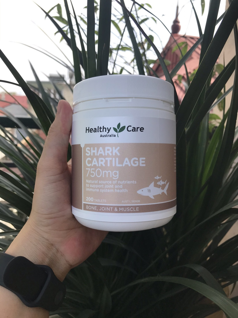Sụn vi cá mập - Shark Cartilage (200 viên)