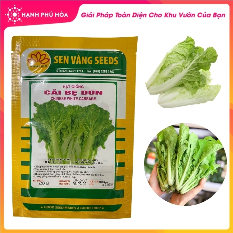Hạt Giống Cải Bẹ Dún  Sen Vàng Gói 10Gram