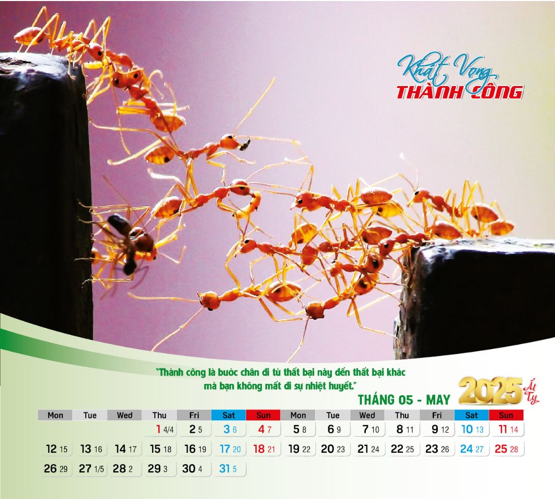 Lịch Để Bàn 13 Tờ In 2 Mặt Kích Thước 19x22cm, Lịch Tết 2025 Cao Cấp An Khang AK104 Chủ Đề Khát Vọng Thành Công