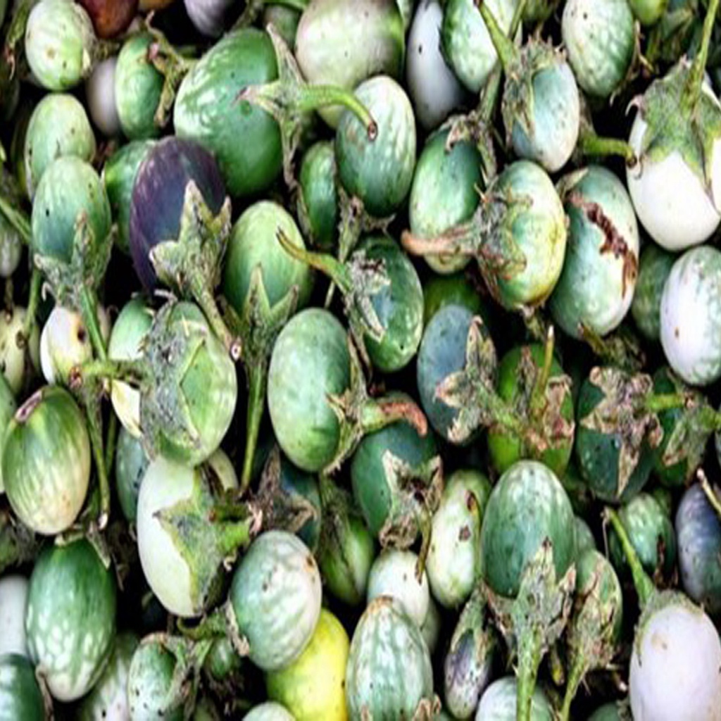 Cà Đắng Tây Nguyên ( 1kg) DSFDF
