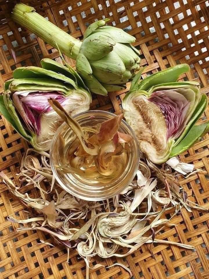 Trà Atiso Túi Lọc Nguyên Chất (2g/100 gói)