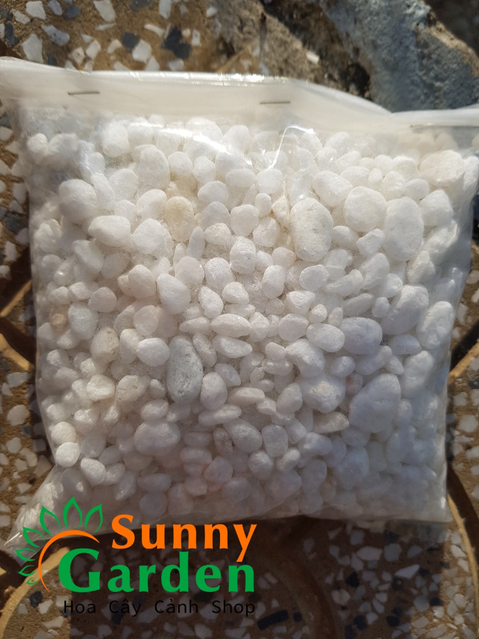 Sỏi Trắng Trang Trí [Túi 1kg] - Phụ Kiện Hồ Cá