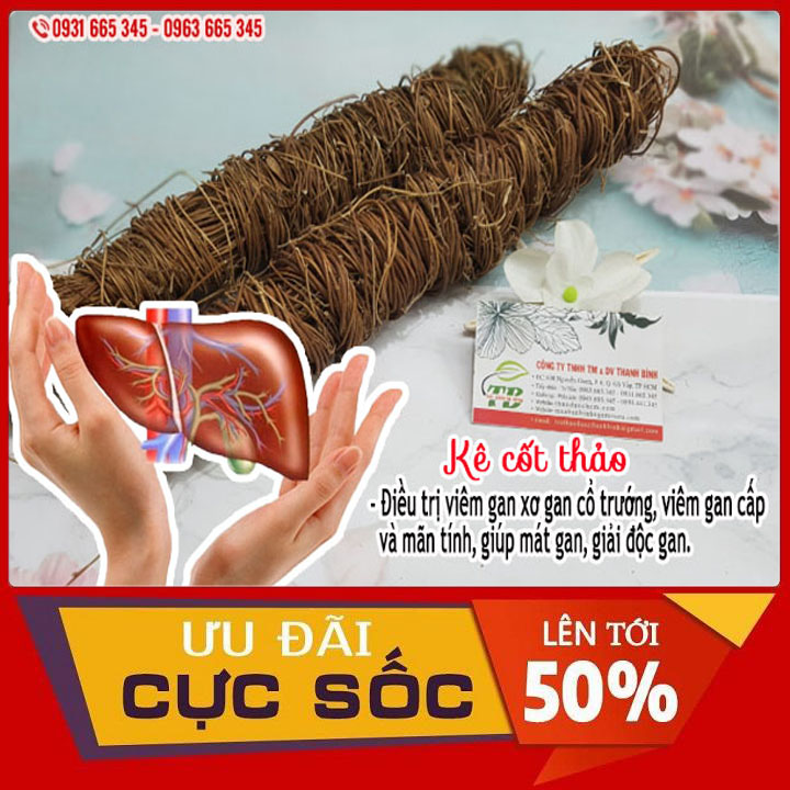 Kê Cốt Thảo Khô 500G Hàng Cty Loại 1 - Đông Y Thanh Bình