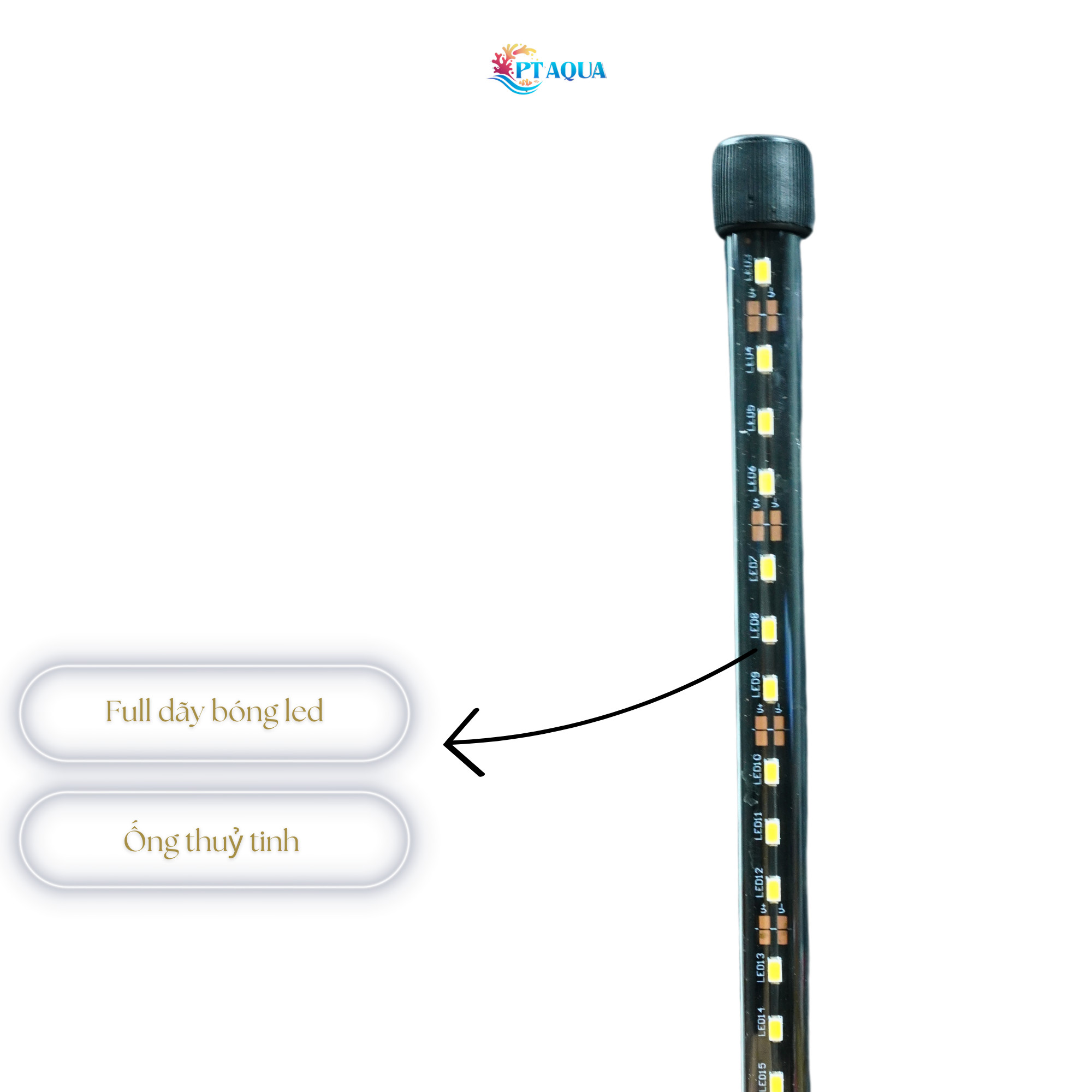 Đèn bể cá FULL VÀNG dành cho hồ cá cảnh