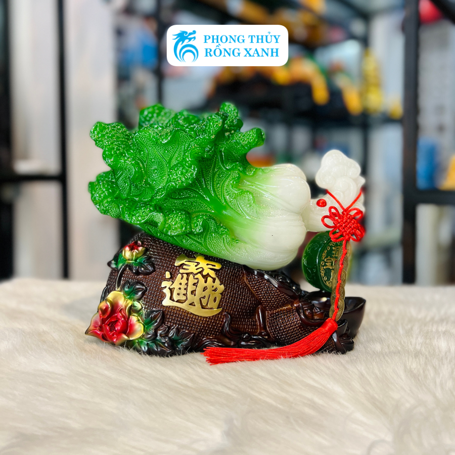 Bắp cải phong thuỷ đế túi vàng