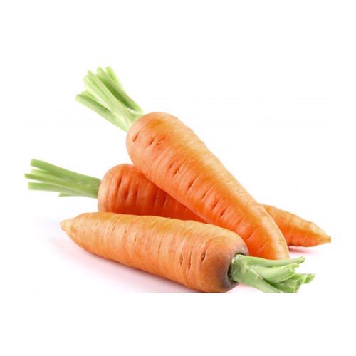 Hạt Giống Cà Rốt Rd 507 Rạng Đông Gói 5Gram
