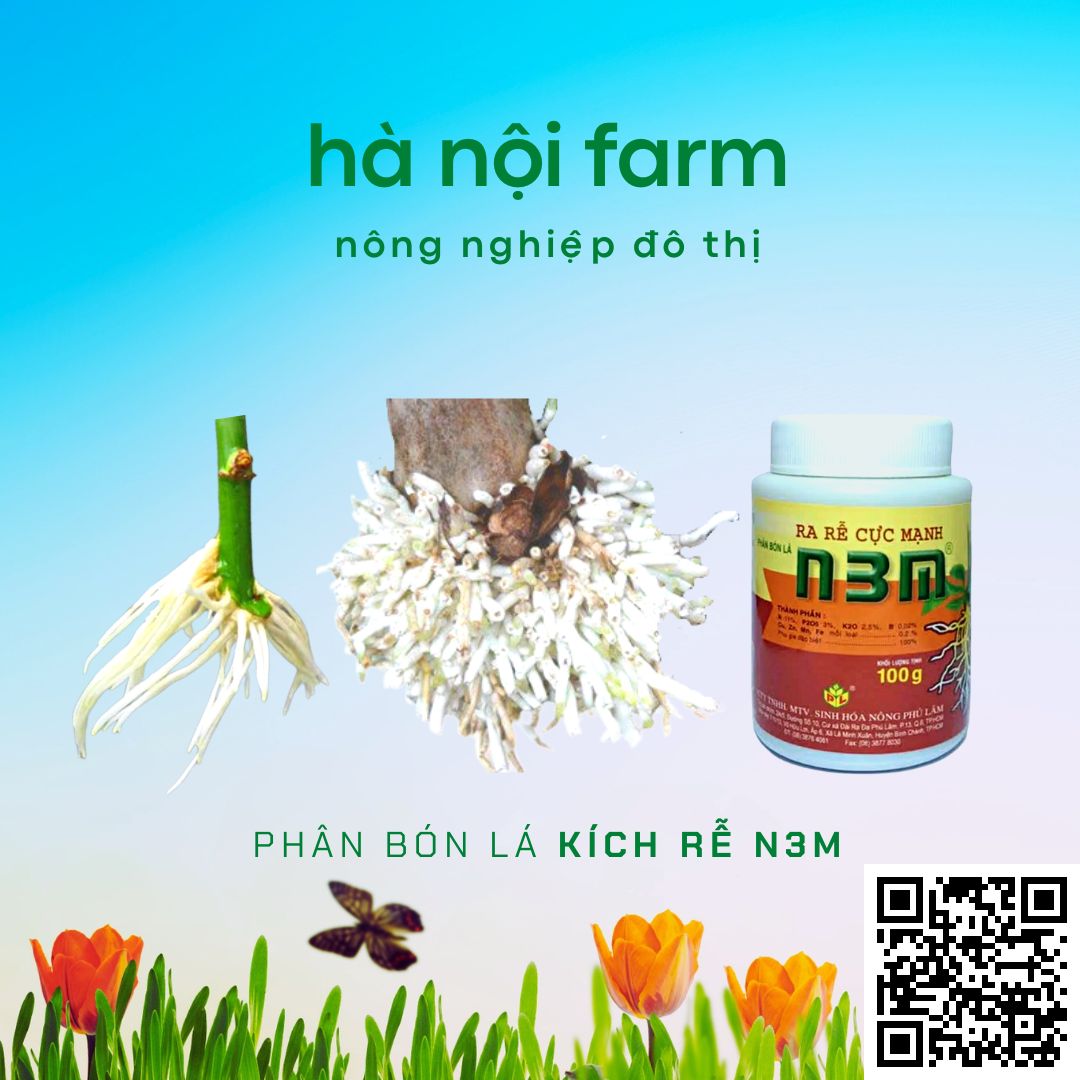 N3M kích ra rễ, N3M bột 100g