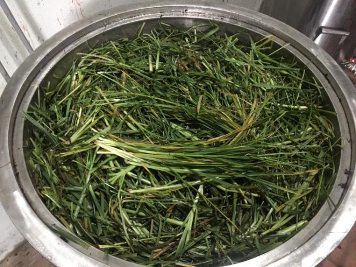 01KG Cỏ Mần Trầu Khô Loại 01
