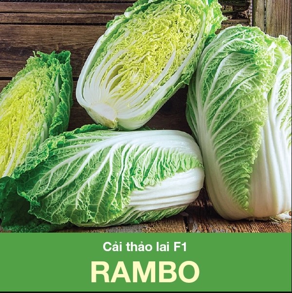Hạt giống Cải thảo RAMBO (0.5g)