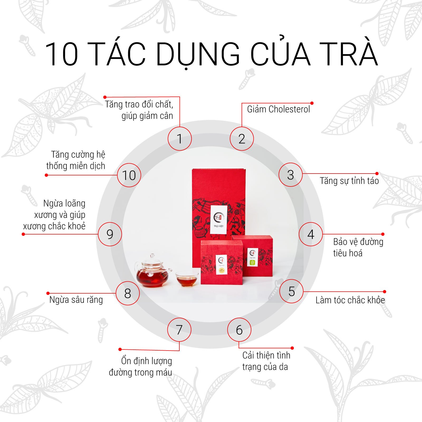 TRÀ VIỆT Hộp Trà Cà Phê Cao Cấp 100g